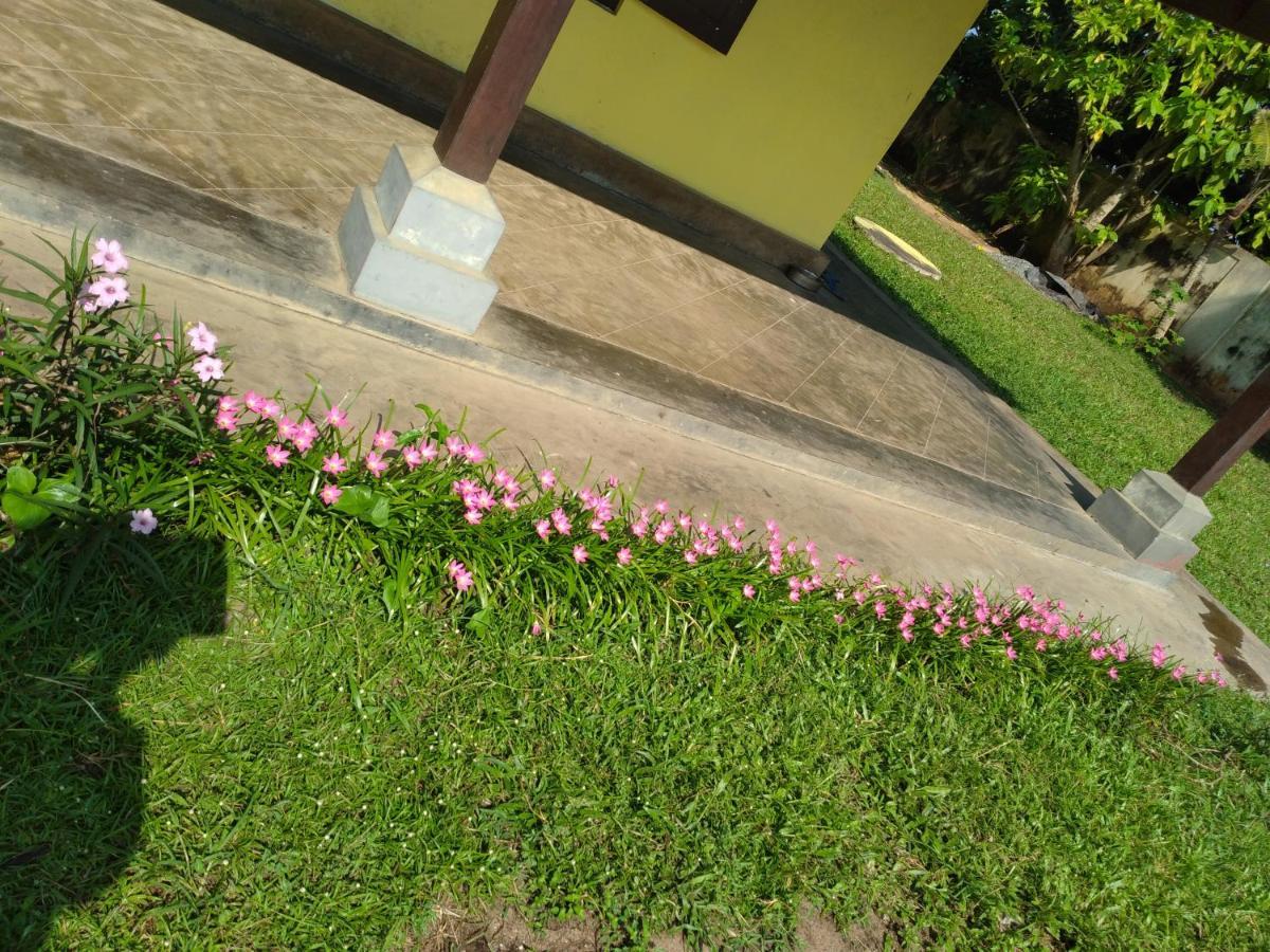 Olivia Bungalow Wattala Bagian luar foto