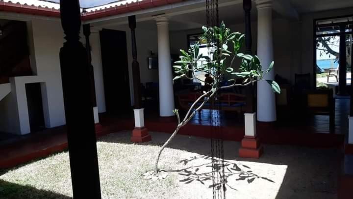 Olivia Bungalow Wattala Bagian luar foto